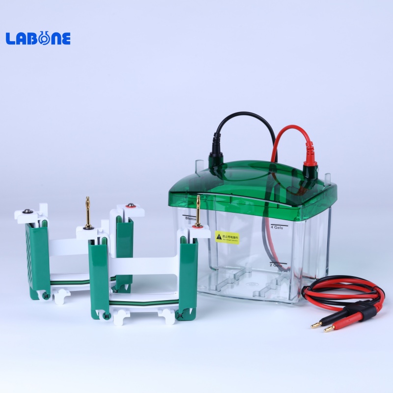 Electrophoresis Tank