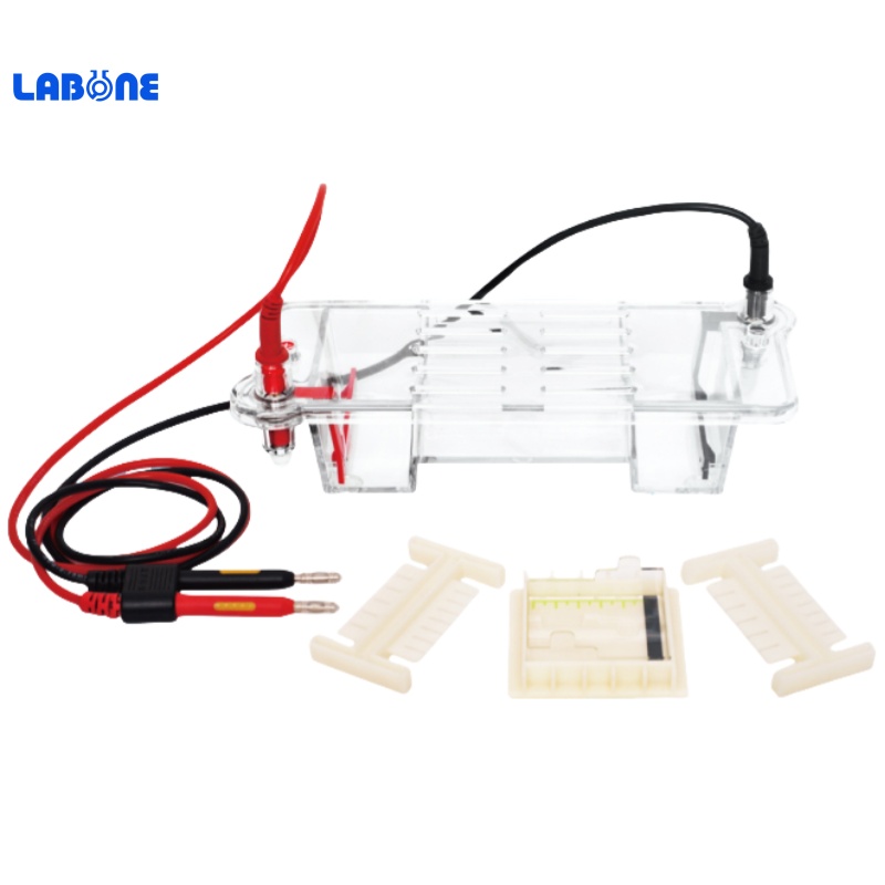 Horizontal Electrophoresis Tank