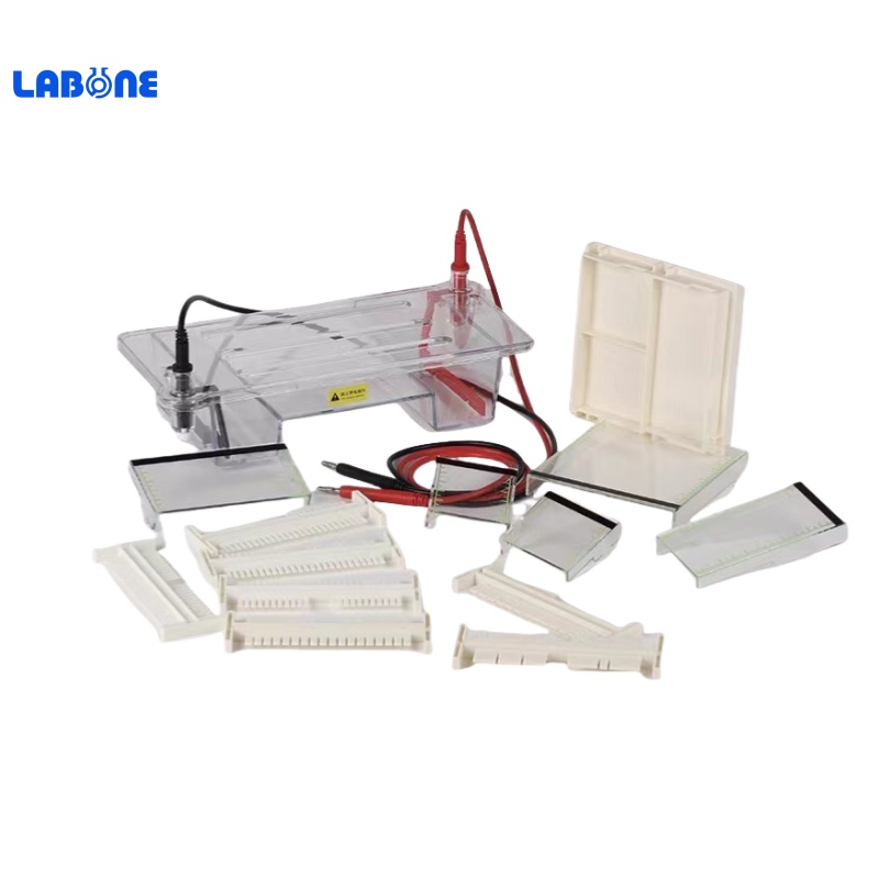 Horizontal Electrophoresis Tank