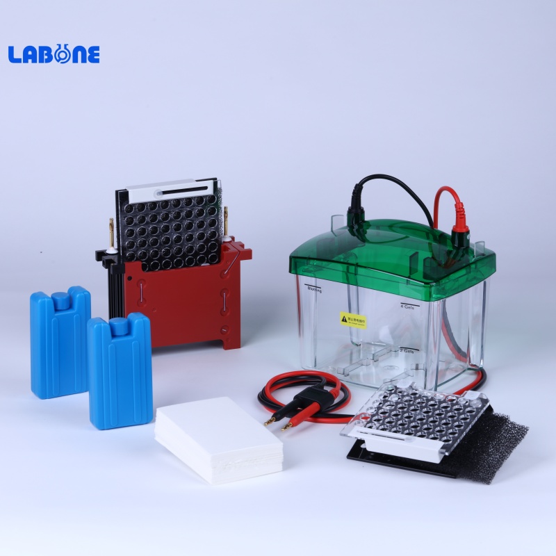Transfer Printing Module